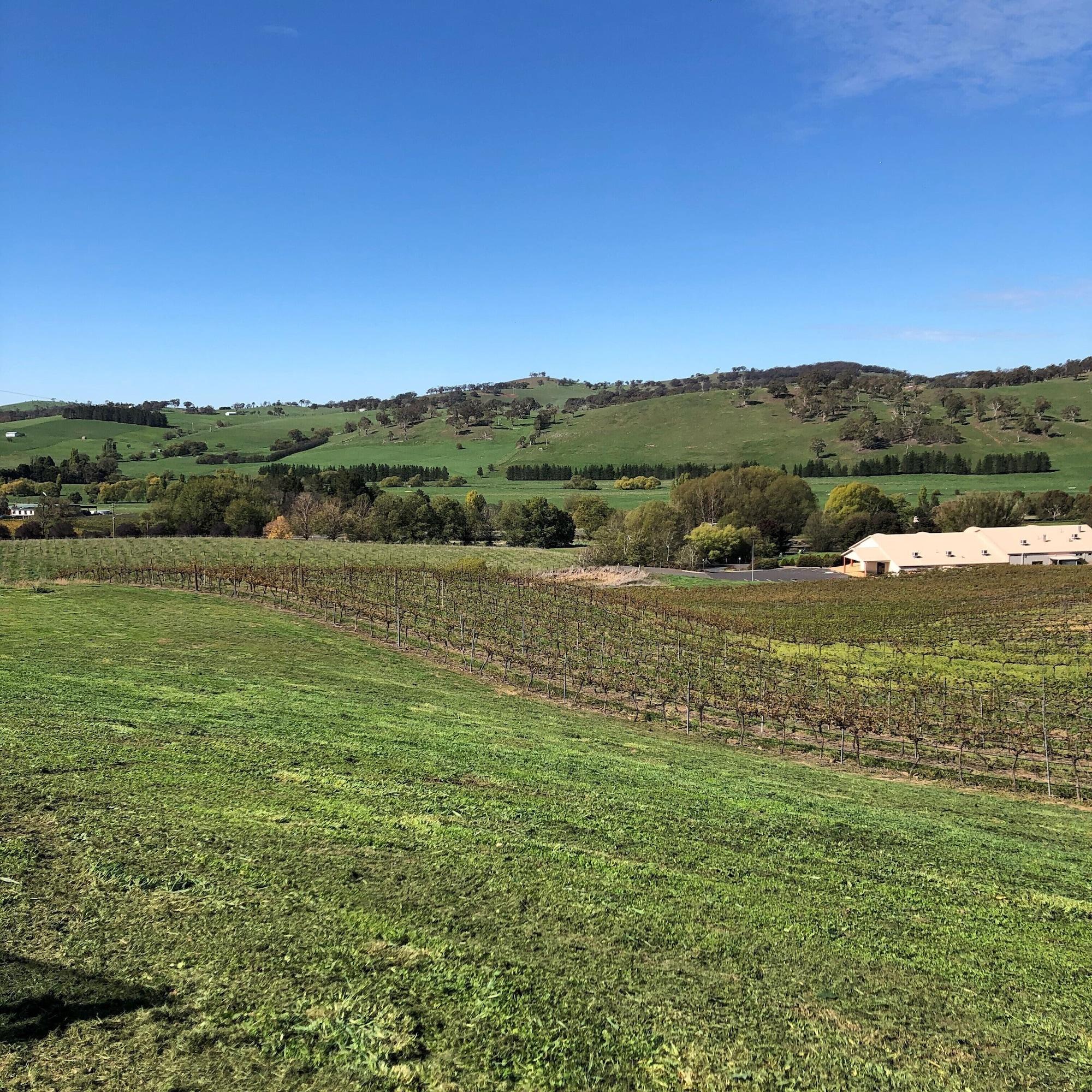 Turners Vineyard Motel Orange Εξωτερικό φωτογραφία
