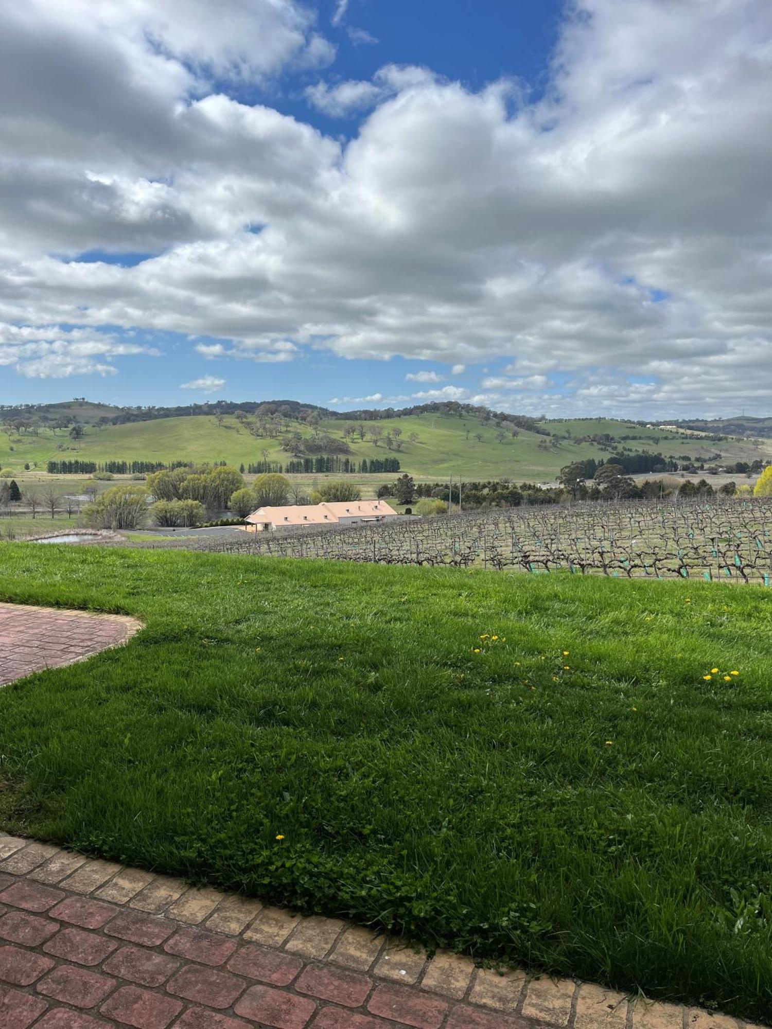 Turners Vineyard Motel Orange Εξωτερικό φωτογραφία
