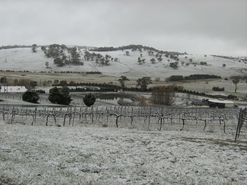 Turners Vineyard Motel Orange Εξωτερικό φωτογραφία