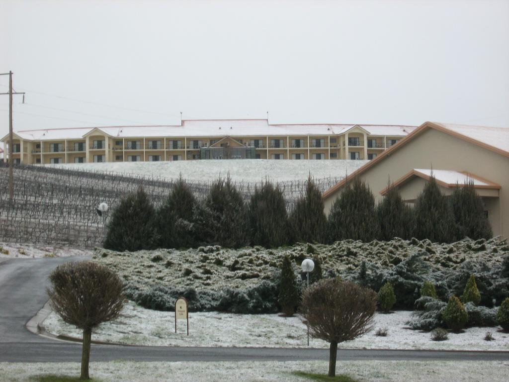 Turners Vineyard Motel Orange Εξωτερικό φωτογραφία