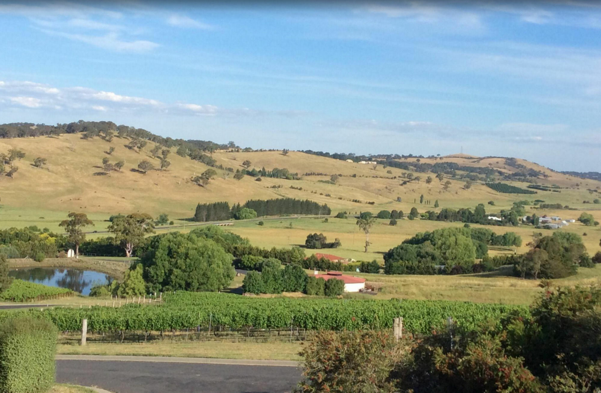Turners Vineyard Motel Orange Εξωτερικό φωτογραφία