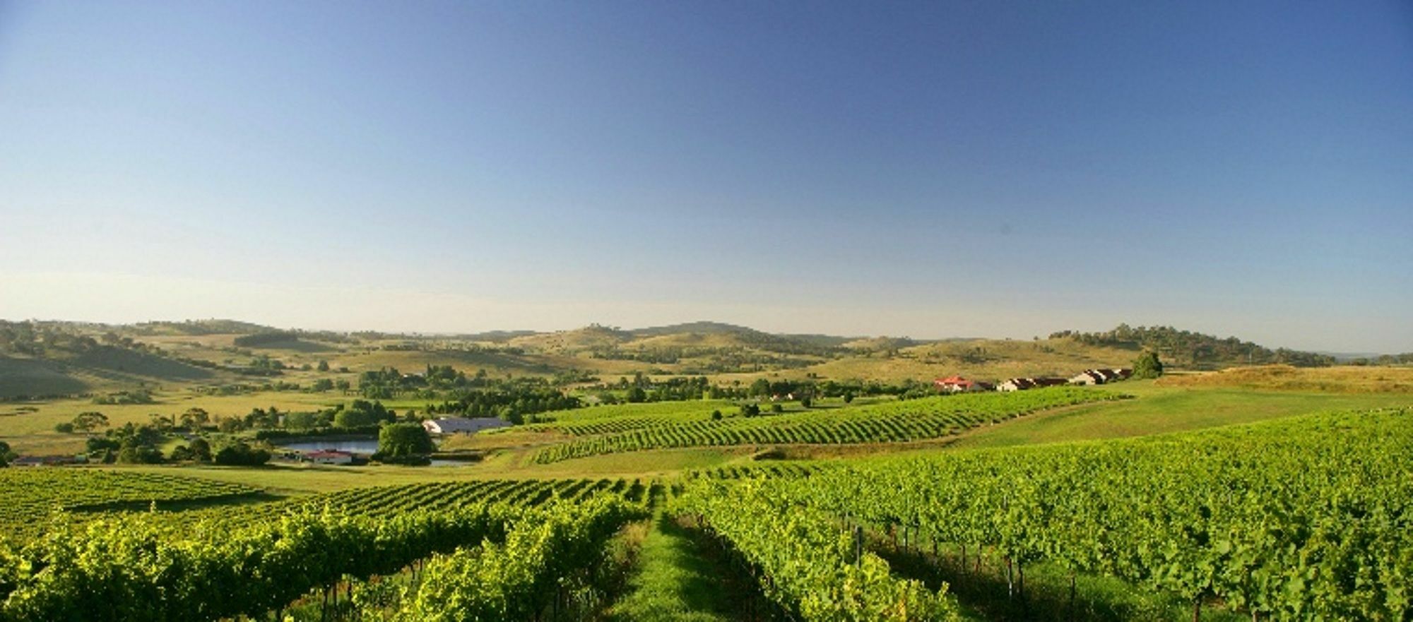 Turners Vineyard Motel Orange Εξωτερικό φωτογραφία