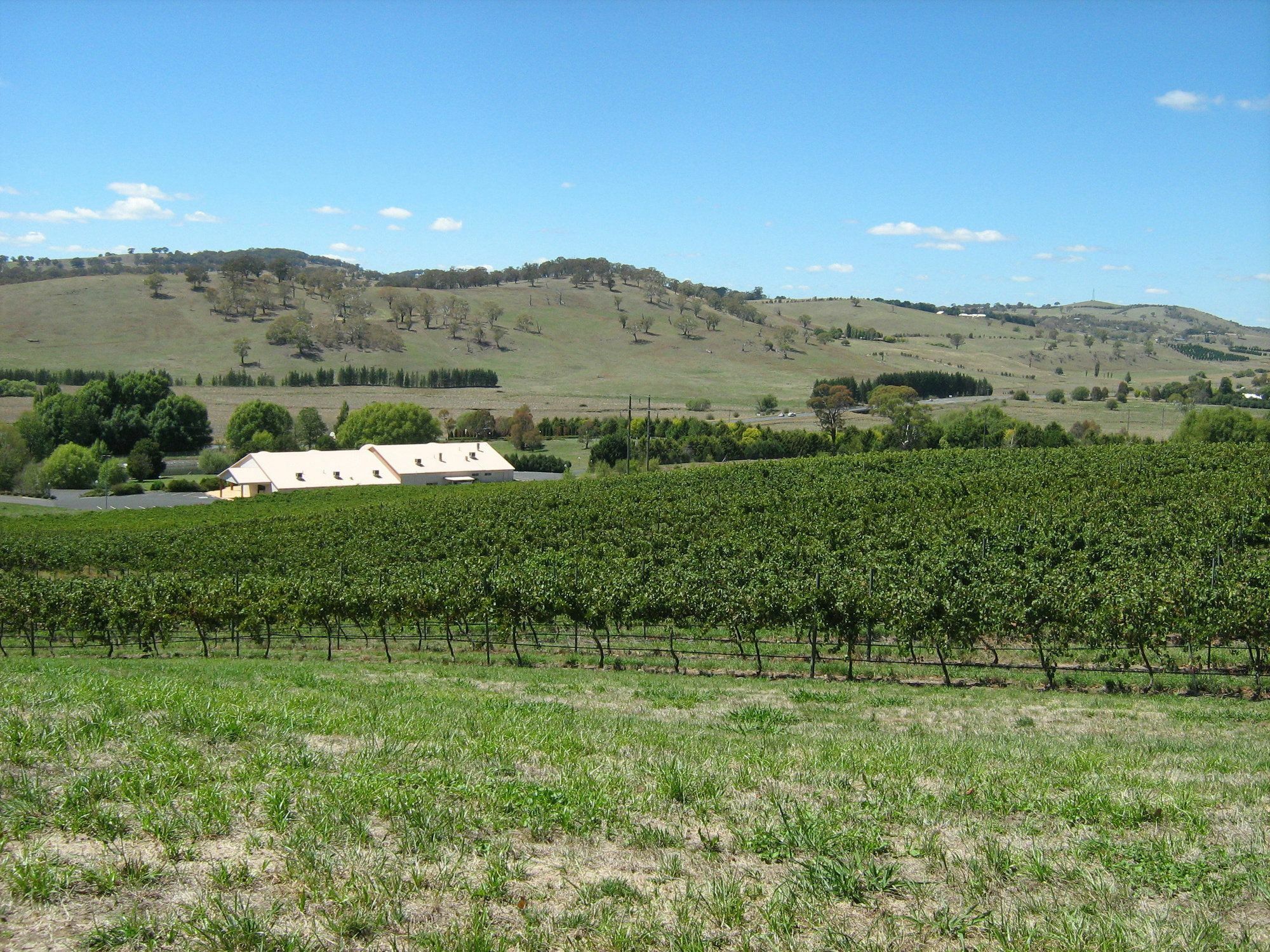 Turners Vineyard Motel Orange Εξωτερικό φωτογραφία