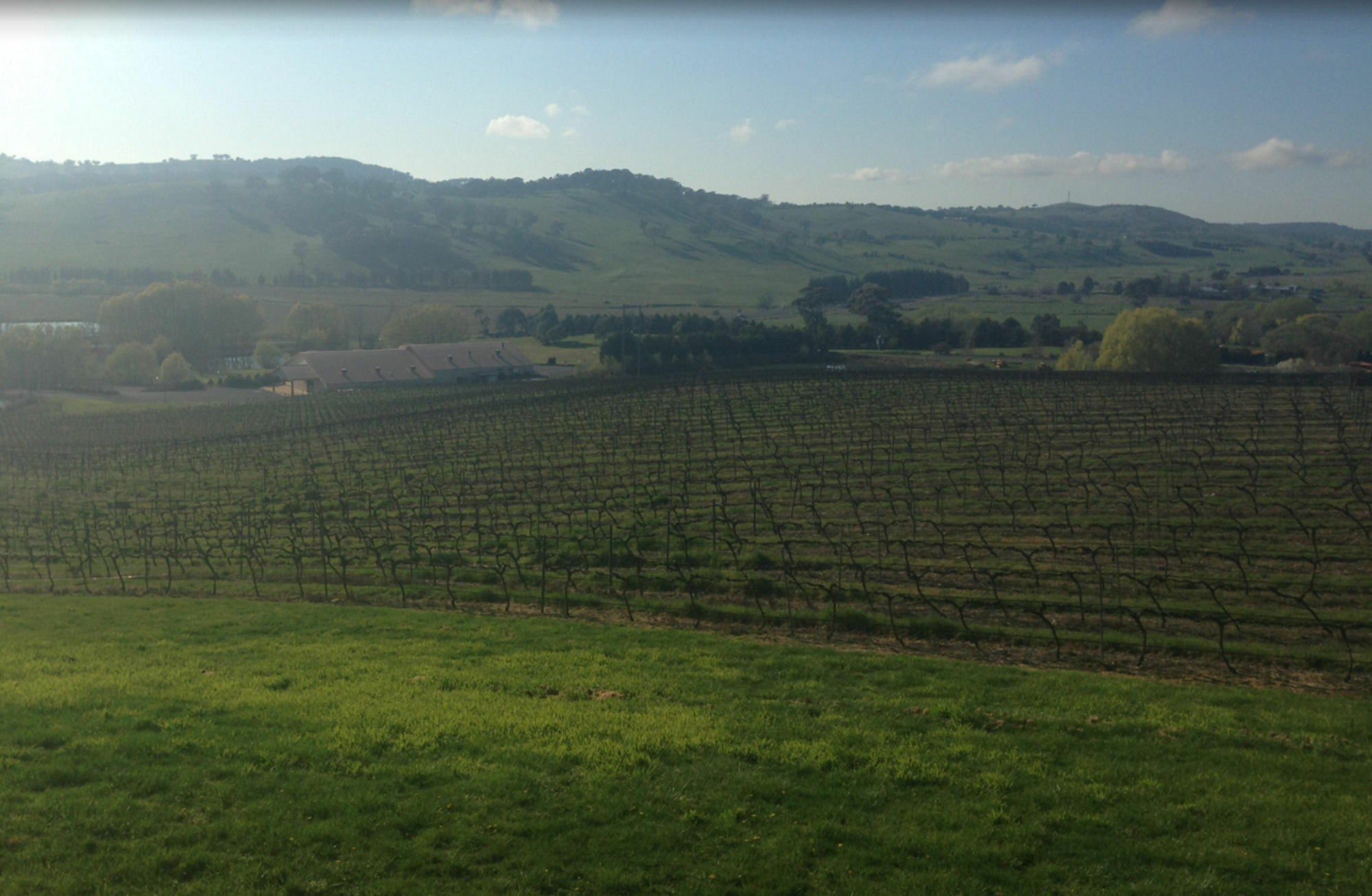 Turners Vineyard Motel Orange Εξωτερικό φωτογραφία