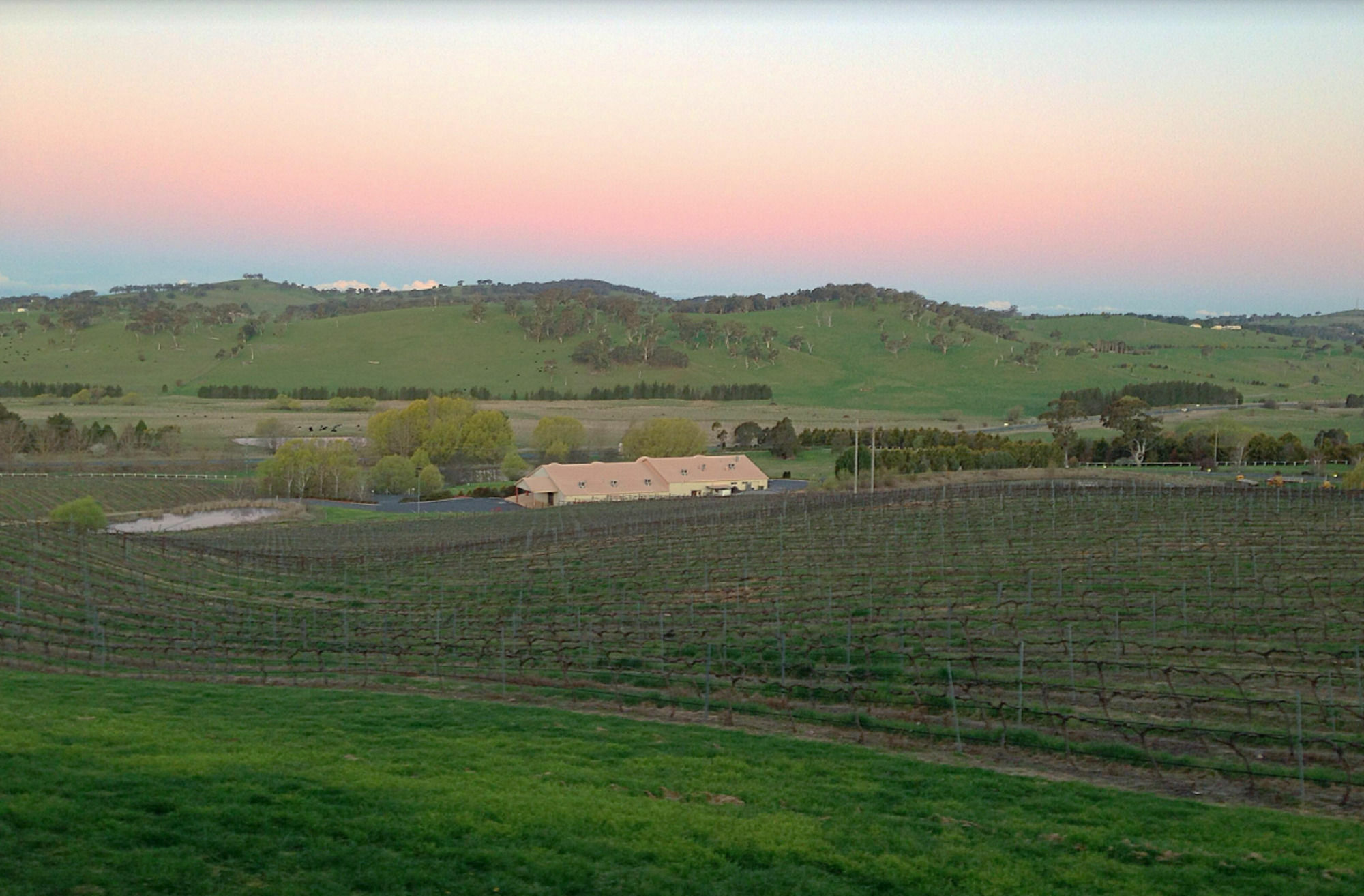 Turners Vineyard Motel Orange Εξωτερικό φωτογραφία