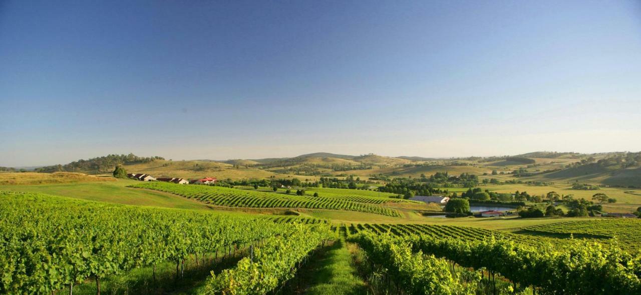 Turners Vineyard Motel Orange Εξωτερικό φωτογραφία